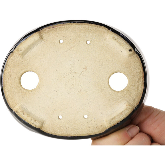Maceta ovalada para bonsái marrón de Terahata Satomi Mazan - 140 x 115 x 30 mm