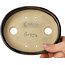 Oval brown bonsai pot by Terahata Satomi Mazan - 140 x 115 x 30 mm