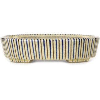  Satomi Mazan, Mazan Terahata Vaso bonsai bianco, blu e marrone da 132 mm di Terahata Satomi Mazan, Tokoname, Giappone