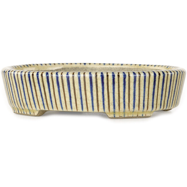 Ovaler weißer, blauer und brauner Bonsaitopf von Terahata Satomi Mazan – 132 x 105 x 32 mm