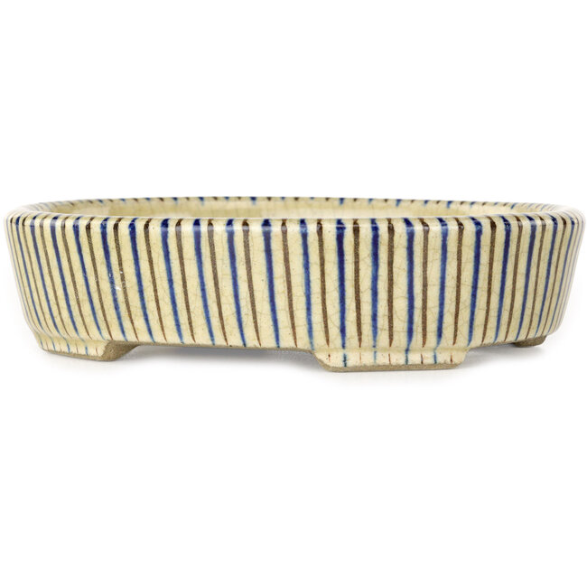 Maceta ovalada para bonsái blanca, azul y marrón de Terahata Satomi Mazan - 132 x 105 x 32 mm