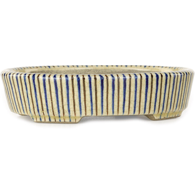 Ovaler weißer, blauer und brauner Bonsaitopf von Terahata Satomi Mazan – 132 x 105 x 32 mm