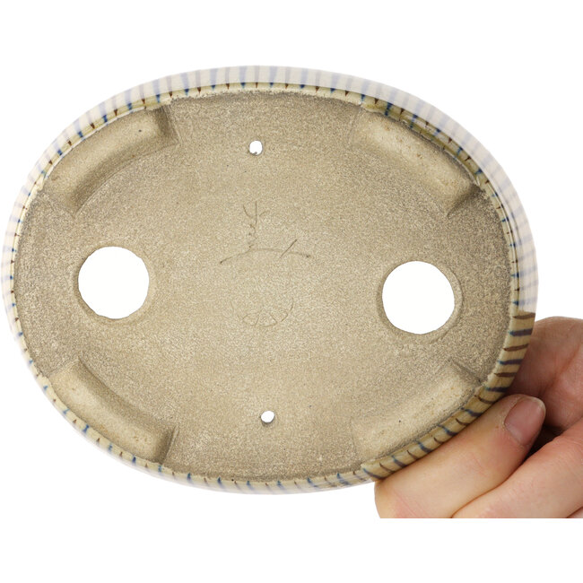 Maceta ovalada para bonsái blanca, azul y marrón de Terahata Satomi Mazan - 132 x 105 x 32 mm