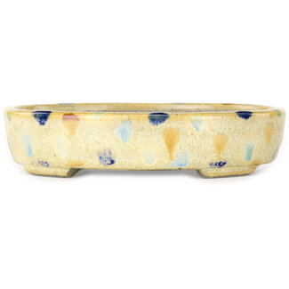  Satomi Mazan, Mazan Terahata Maceta para bonsái multicolor y blanco cálido de 140 mm de Terahata Satomi Mazan, Tokoname, Japón