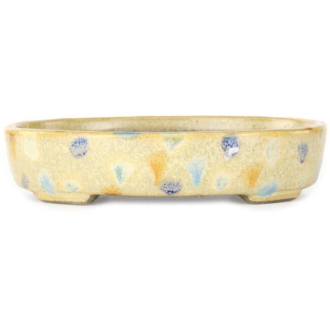 Maceta para bonsái ovalada en blanco cálido y multicolor de Terahata Satomi Mazan - 140 x 115 x 30 mm