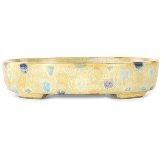  Satomi Mazan, Mazan Terahata Maceta para bonsái multicolor y blanco cálido de 140 mm de Terahata Satomi Mazan, Tokoname, Japón