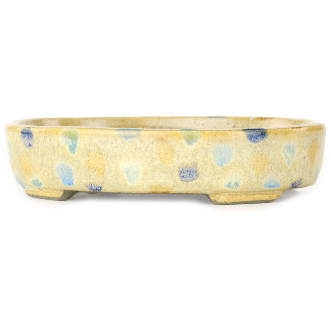 Ovale warmwitte en veelkleurige bonsaipot van Terahata Satomi Mazan - 140 x 115 x 30 mm