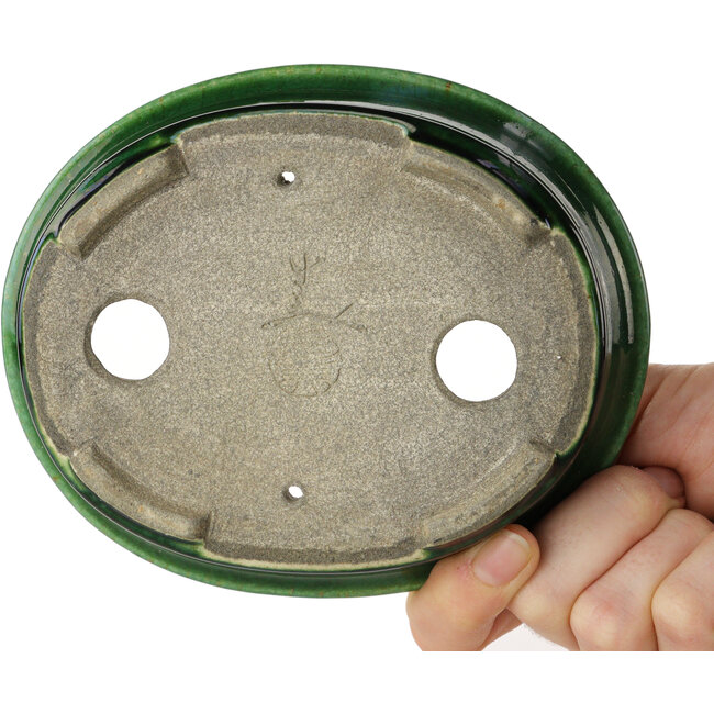 Pot à bonsaï ovale vert par Terahata Satomi Mazan - 140 x 115 x 35 mm