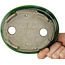 Pot à bonsaï ovale vert par Terahata Satomi Mazan - 140 x 115 x 35 mm