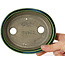 Pot à bonsaï ovale vert par Terahata Satomi Mazan - 140 x 115 x 35 mm
