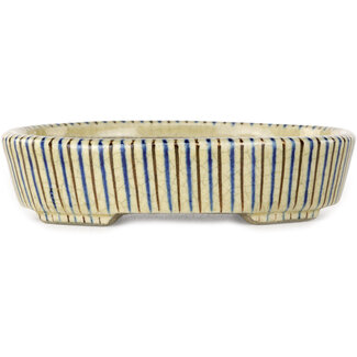  Satomi Mazan, Mazan Terahata Vaso bonsai bianco, blu e marrone da 132 mm di Terahata Satomi Mazan, Tokoname, Giappone