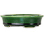 Maceta ovalada para bonsái verde de Terahata Satomi Mazan - 140 x 115 x 35 mm