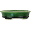 Maceta ovalada para bonsái verde de Terahata Satomi Mazan - 140 x 115 x 35 mm