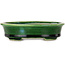 Oval green bonsai pot by Terahata Satomi Mazan - 140 x 115 x 35 mm