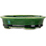 Maceta ovalada para bonsái verde de Terahata Satomi Mazan - 140 x 115 x 35 mm