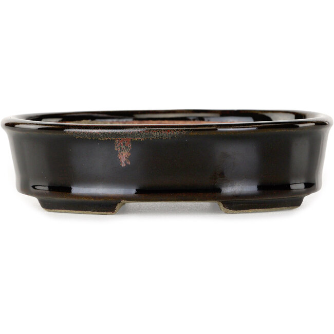 Vaso bonsai ovale marrone di Terahata Satomi Mazan - 135 x 110 x 35 mm