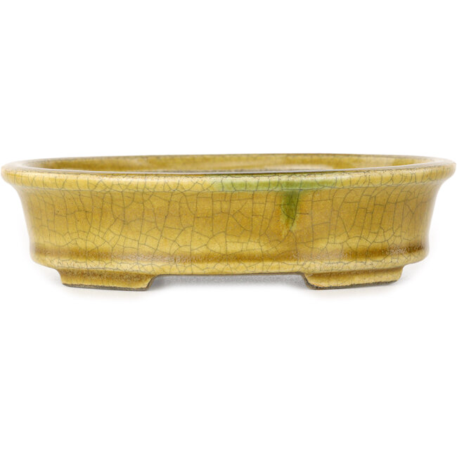 Vaso bonsai ovale giallo craquelé di Terahata Satomi Mazan - 140 x 115 x 35 mm
