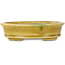 Oval yellow craquelé bonsai pot by Terahata Satomi Mazan - 140 x 115 x 35 mm