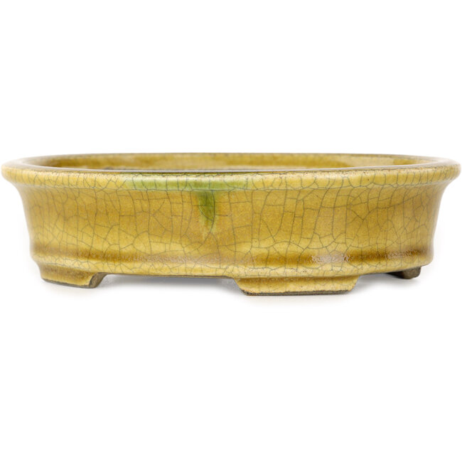 Maceta ovalada para bonsái craquelé amarillo de Terahata Satomi Mazan - 140 x 115 x 35 mm