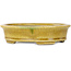 Pot à bonsaï ovale jaune craquelé par Terahata Satomi Mazan - 140 x 115 x 35 mm