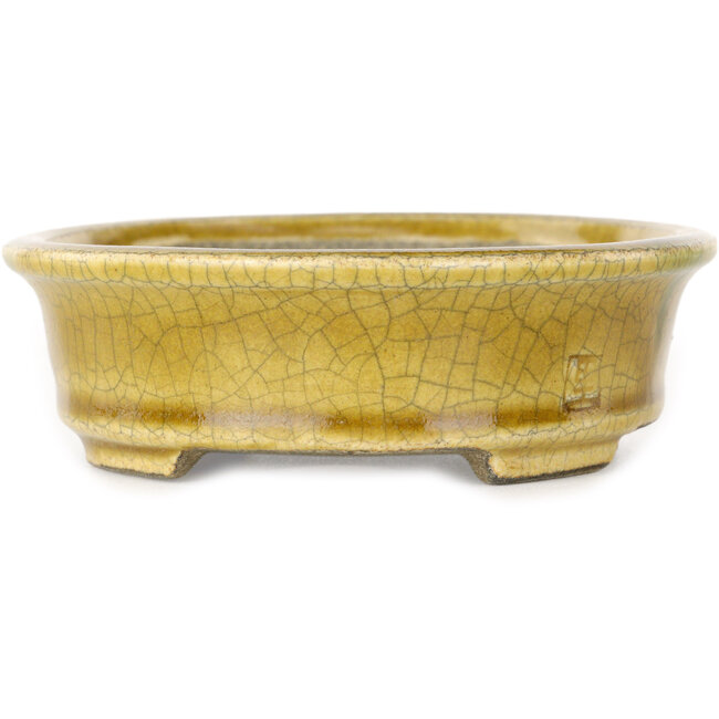 Vaso bonsai ovale giallo craquelé di Terahata Satomi Mazan - 140 x 115 x 35 mm