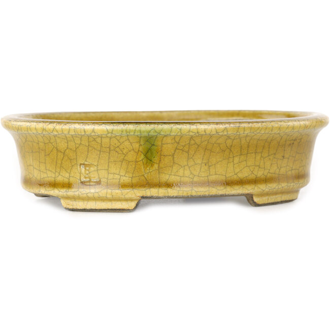 Oval yellow craquelé bonsai pot by Terahata Satomi Mazan - 140 x 115 x 35 mm