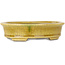 Pot à bonsaï ovale jaune craquelé par Terahata Satomi Mazan - 140 x 115 x 35 mm