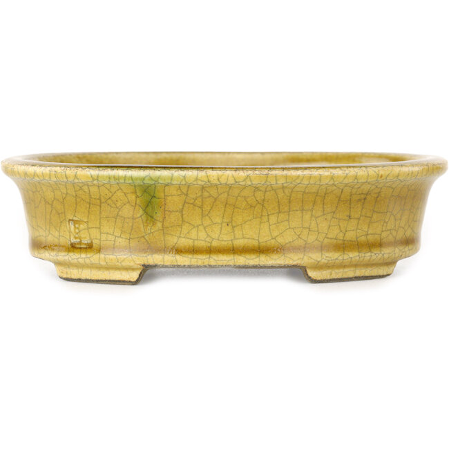 Maceta ovalada para bonsái craquelé amarillo de Terahata Satomi Mazan - 140 x 115 x 35 mm