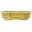 Oval yellow craquelé bonsai pot by Terahata Satomi Mazan - 140 x 115 x 35 mm