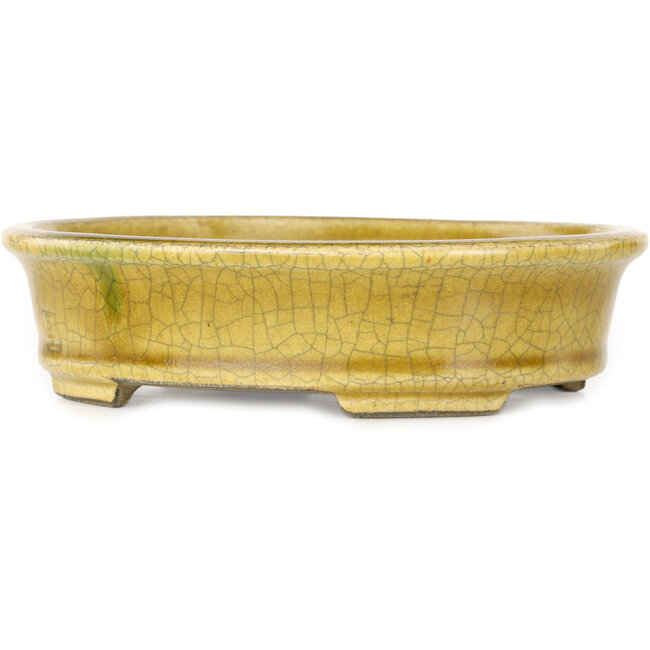 Maceta ovalada para bonsái craquelé amarillo de Terahata Satomi Mazan - 140 x 115 x 35 mm