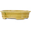 Pot à bonsaï ovale jaune craquelé par Terahata Satomi Mazan - 140 x 115 x 35 mm