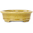 Oval yellow craquelé bonsai pot by Terahata Satomi Mazan - 140 x 115 x 35 mm