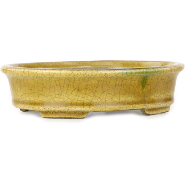 Ovaler gelber Craquelé-Bonsaitopf von Terahata Satomi Mazan – 140 x 115 x 35 mm