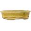 Vaso bonsai ovale giallo craquelé di Terahata Satomi Mazan - 140 x 115 x 35 mm