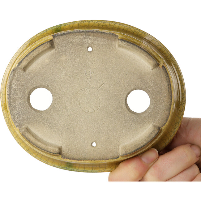 Pot à bonsaï ovale jaune craquelé par Terahata Satomi Mazan - 140 x 115 x 35 mm