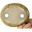 Pot à bonsaï ovale jaune craquelé par Terahata Satomi Mazan - 140 x 115 x 35 mm