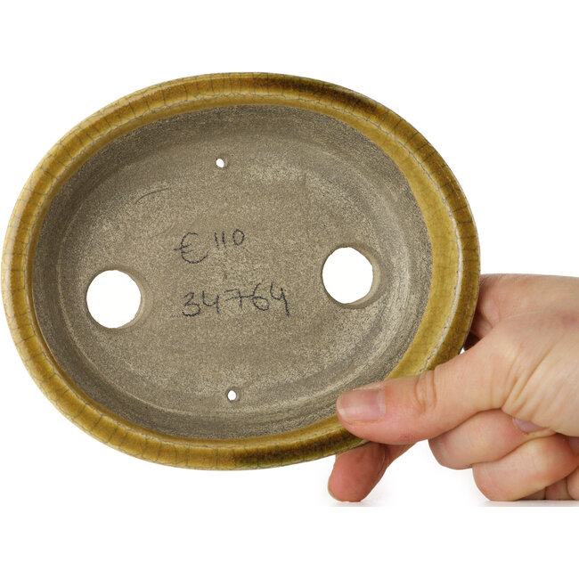 Maceta ovalada para bonsái craquelé amarillo de Terahata Satomi Mazan - 140 x 115 x 35 mm
