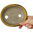 Oval yellow craquelé bonsai pot by Terahata Satomi Mazan - 140 x 115 x 35 mm