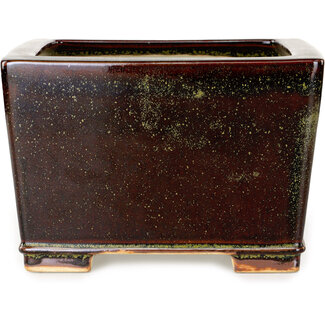  Reihou (Bonsai Matsushita Hiroyuki or Mr.MATSUSHITA Reiji    Master) 230 mm Bonsai-Topf in Kastanienbraun und Gold von Reiho, Tokoname, Japan