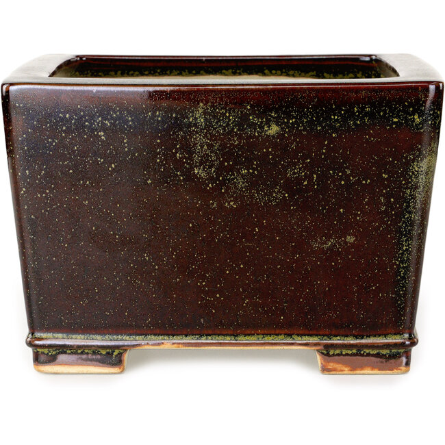 Square marron and gold colored bonsai pot by Reiho - 230 x 230 x 150 mm