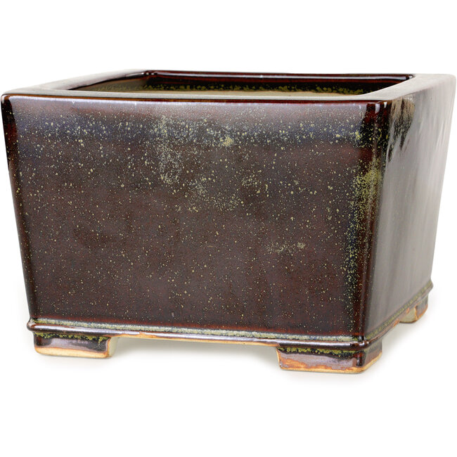 Vierkante kastanjebruine en goudkleurige bonsaipot van Reiho - 230 x 230 x 150 mm