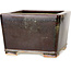 Pot à bonsaï carré marron et or de Reiho - 230 x 230 x 150 mm