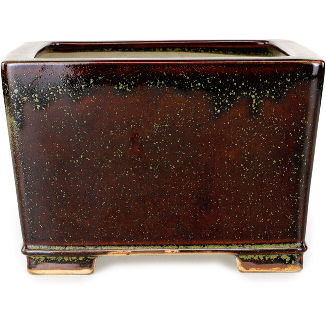 Square marron and gold colored bonsai pot by Reiho - 230 x 230 x 150 mm