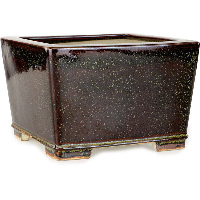 Maceta cuadrada para bonsái de color marrón y dorado de Reiho - 230 x 230 x 150 mm