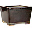 Vierkante kastanjebruine en goudkleurige bonsaipot van Reiho - 230 x 230 x 150 mm