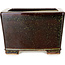 Square marron and gold colored bonsai pot by Reiho - 230 x 230 x 150 mm