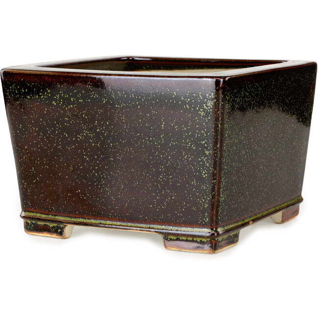 Vierkante kastanjebruine en goudkleurige bonsaipot van Reiho - 230 x 230 x 150 mm