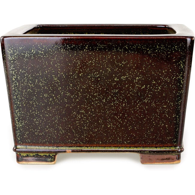 Pot à bonsaï carré marron et or de Reiho - 230 x 230 x 150 mm