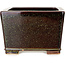 Square marron and gold colored bonsai pot by Reiho - 230 x 230 x 150 mm