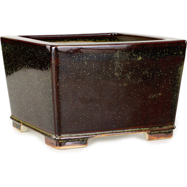 Vierkante kastanjebruine en goudkleurige bonsaipot van Reiho - 230 x 230 x 150 mm